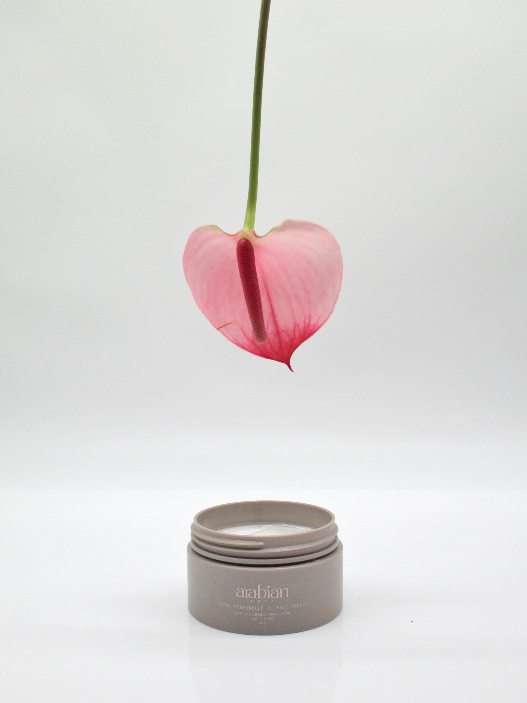 Crème - Rosy